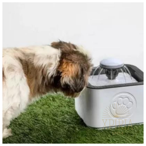 Bebecat™- Fuente de Agua para Mascota 2.5 L